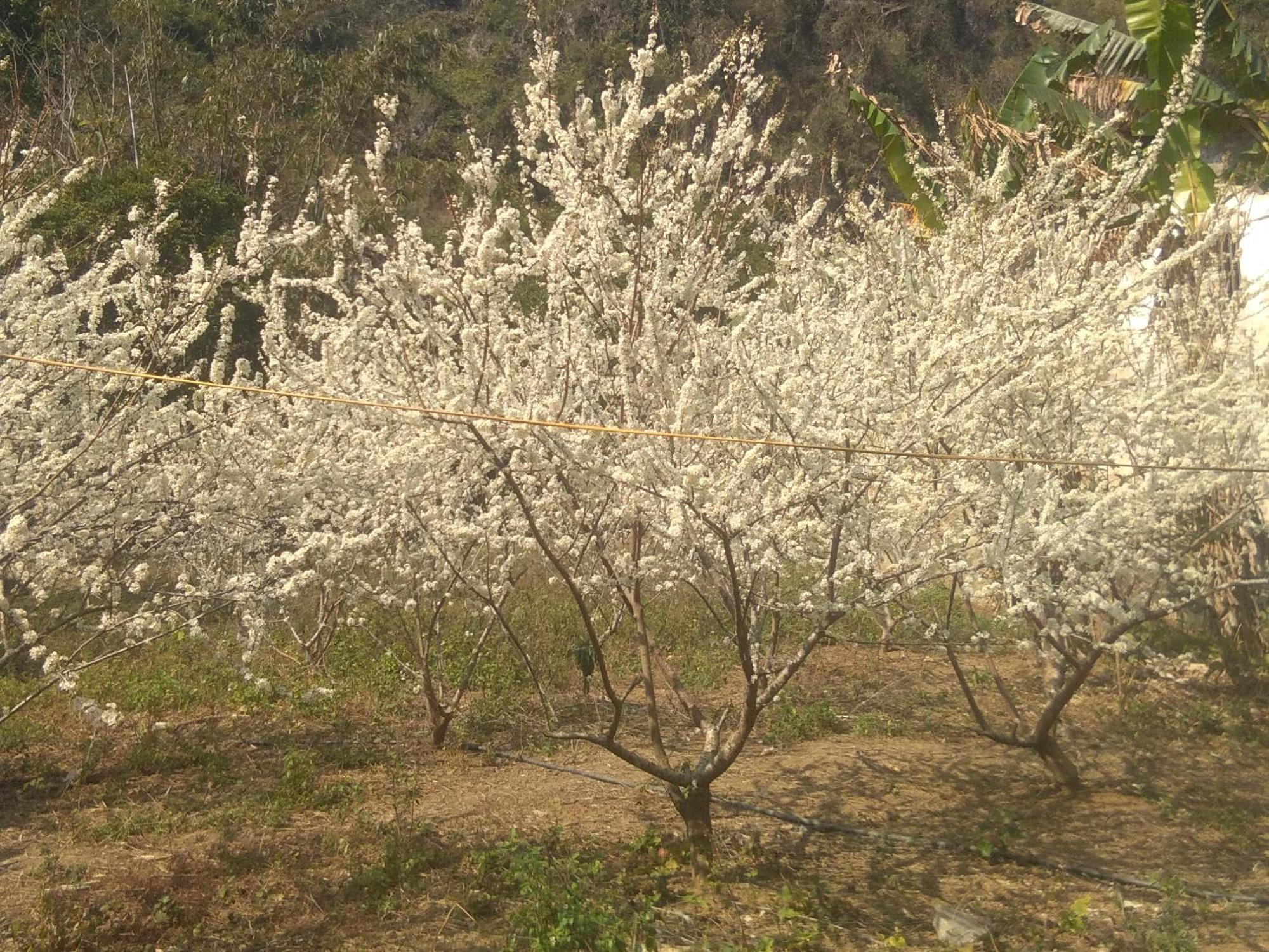 Trieu Chuong Homestay Cao Bang Extérieur photo